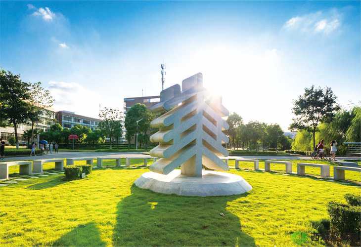 日本大学三年级：开启新征程