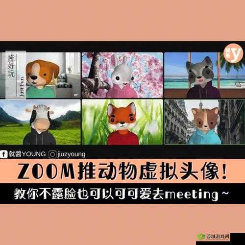 ZOOM 动物人：一场关于动物与科技的奇妙之旅