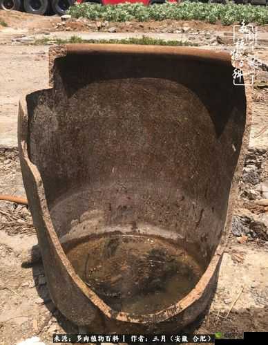 煎饼车折一枚针 25 肉截图：背后的故事