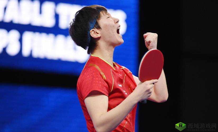 忘仙完美橙的升级方法及装备整体升级策略全解析