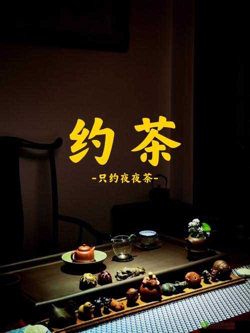 300 一晚同城约茶:开启别样社交体验