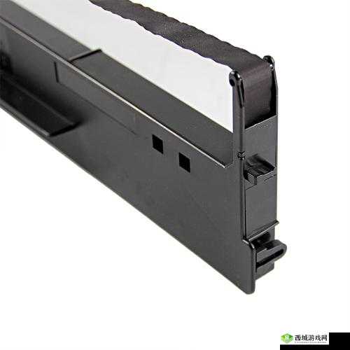 DS2600II 色带：优质打印的必备之选