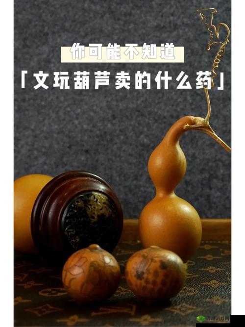 葫芦里卖药到底所指何意