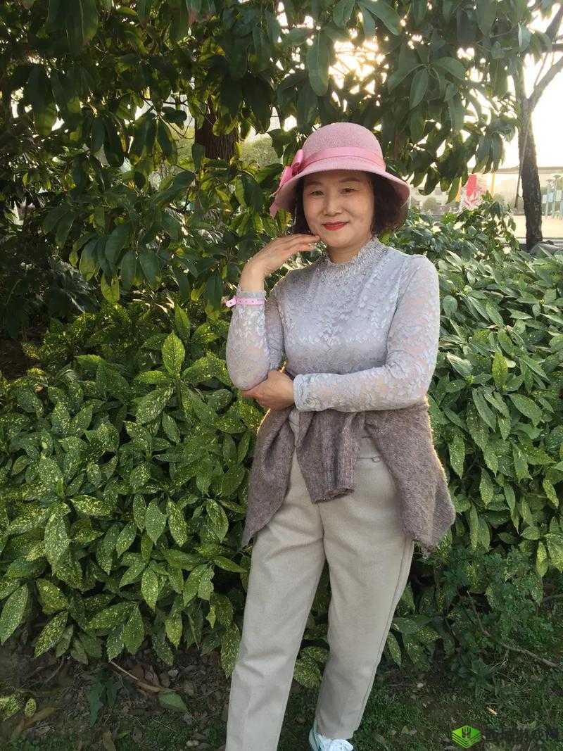 沈阳老阿姨最后的巅峰:追忆与思索