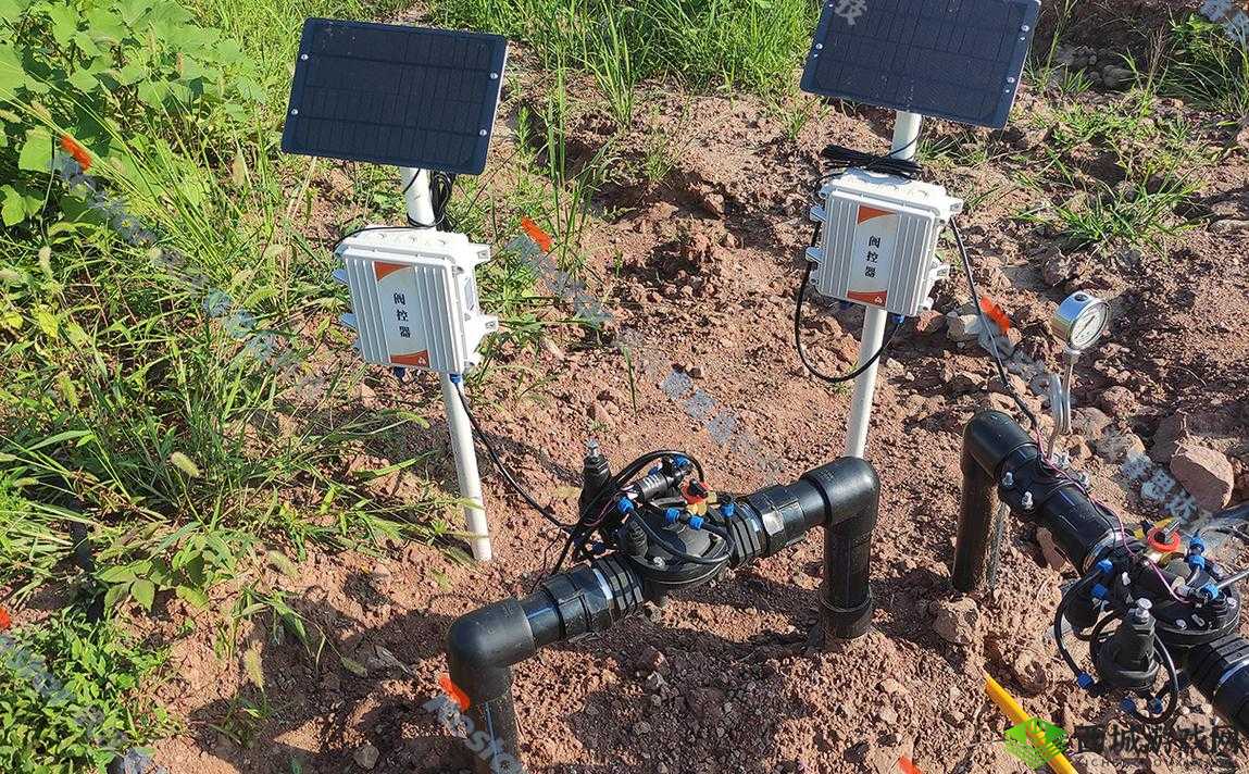 自动灌溉系统：精准节水的智能帮手