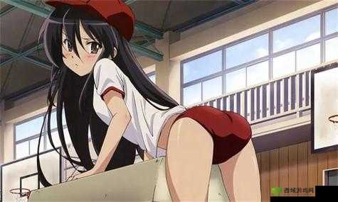 尾巴漫画入口页面免费弹窗：畅享精彩漫画无界