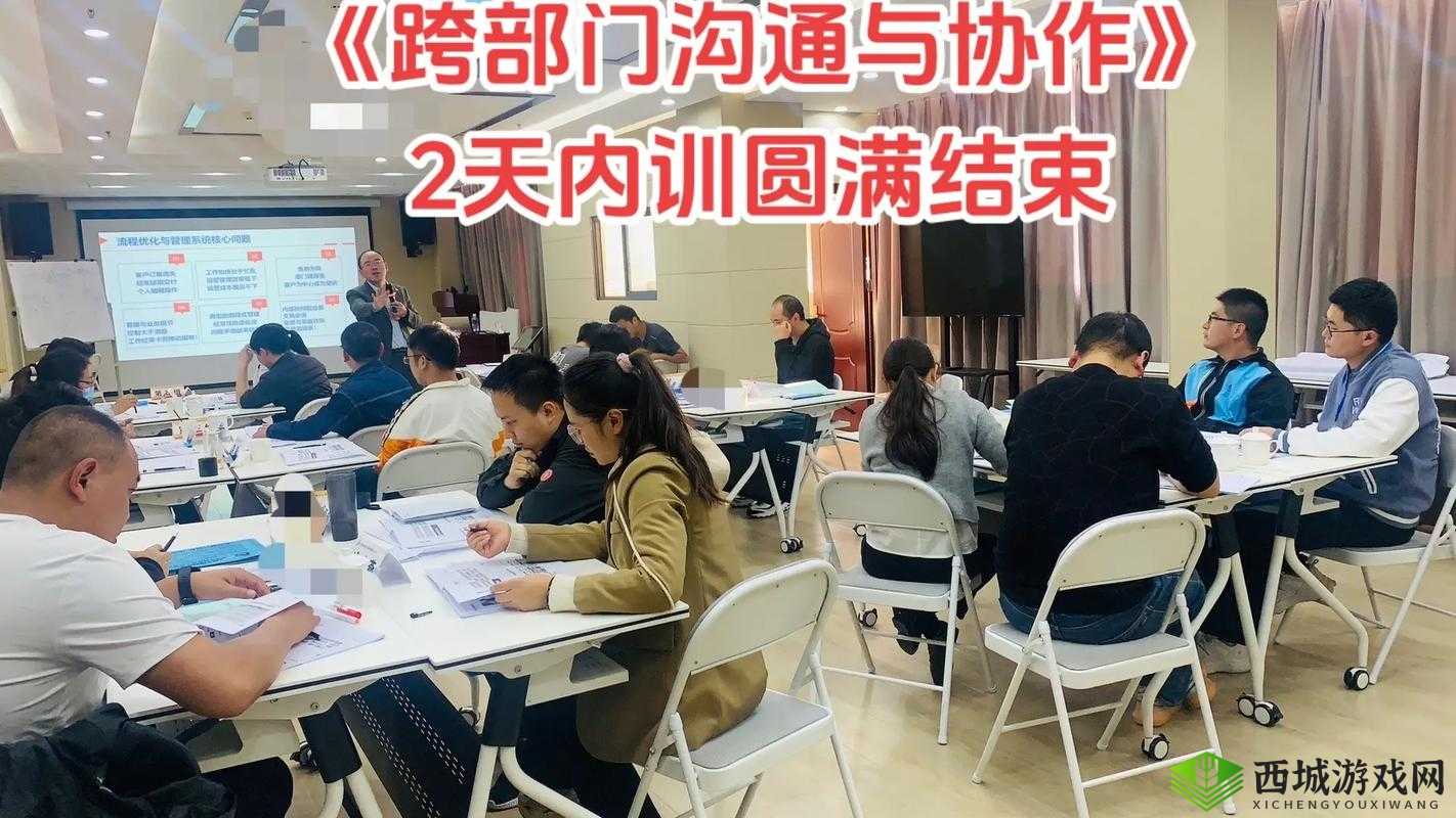 丰年经继拇中文 2 使用技巧：高效沟通与协作