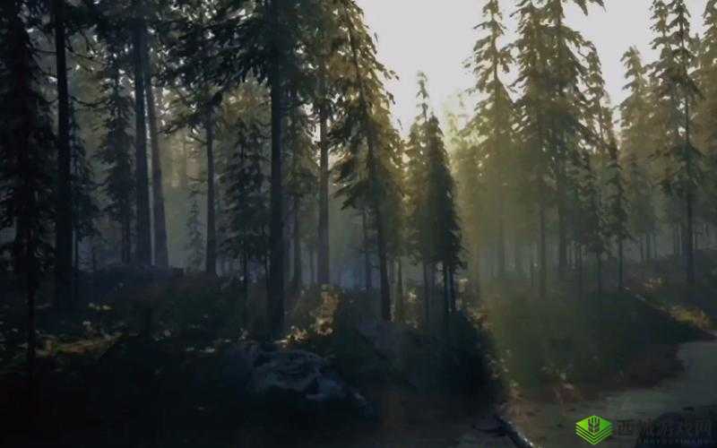 ZoomDog 视频拍摄地点：神秘的自然之境