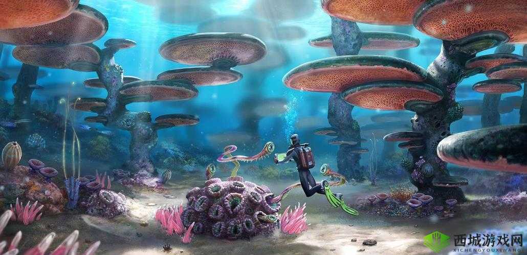 x9x9x9x9 任意槽 2024 国外:探索未知的世界