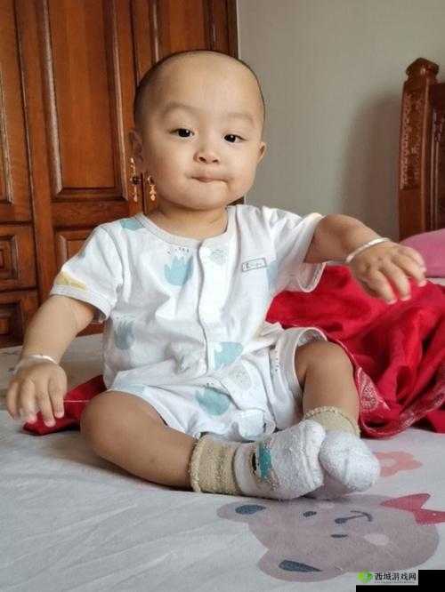 八寸长的大宝贝，究竟有何特别之处？