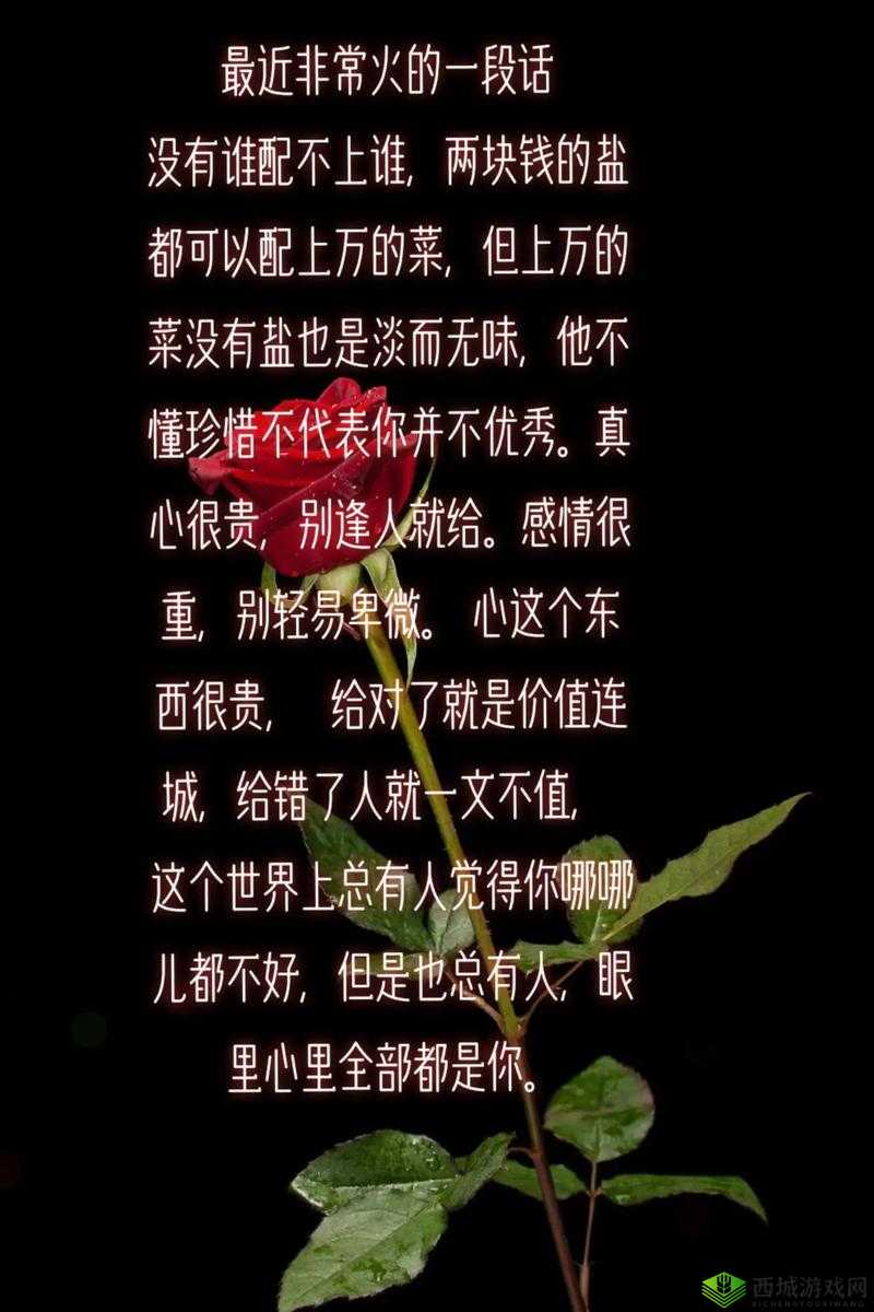 开始慢慢迎合:一段感情的新起点