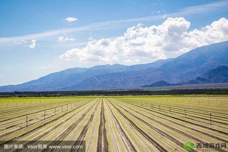 我要去开拓母亲肥沃的土地:我的壮志雄心