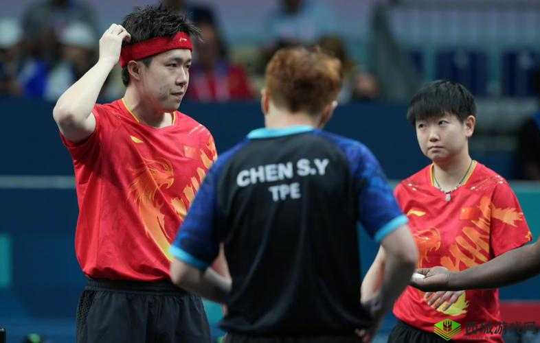 579c-a2337：神秘的编码组合