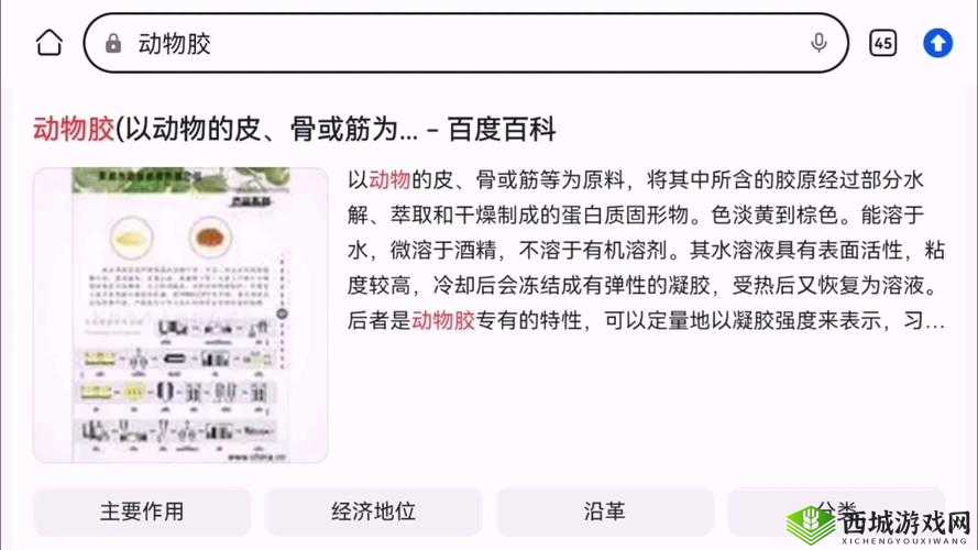 动物胶配方整个过程之解析