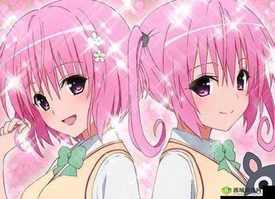 共生双胞胎：生命的奇妙羁绊