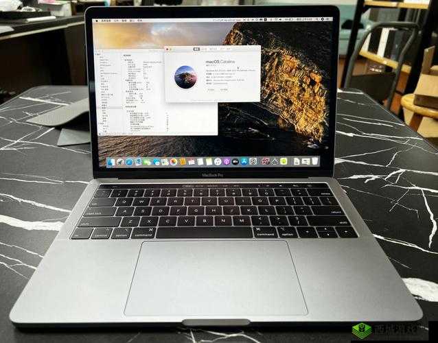 18 岁 macbookpro 高清功能：呈现极致画面