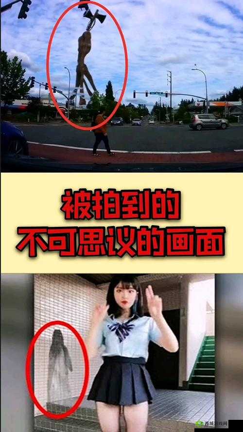 神秘的之力：不思议白球的无限可能应用解析