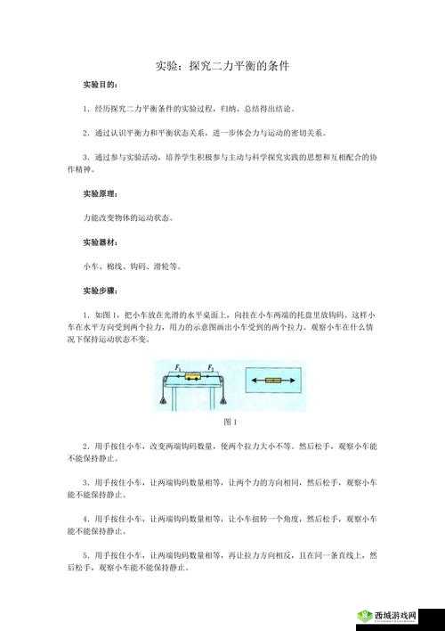 二精是什么意思:探究其含义