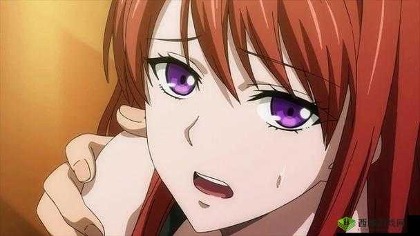 从指尖传达处热情 3 季：火热待播