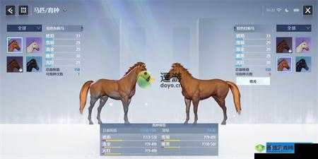 诺亚之心:高质马匹的获取与培养之道