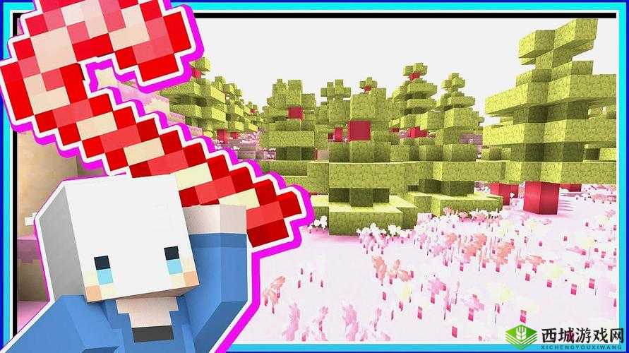 糖果世界探秘:我的世界中的奇妙世界分析