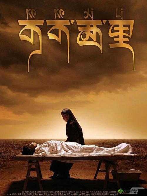 可可西里大但人文艺术：神秘与魅力的交织