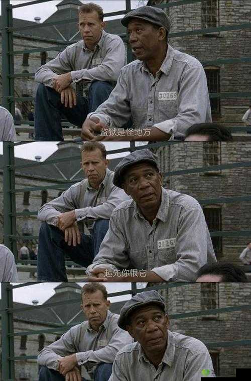 美国电影需要爸爸播撒的电影:温情背后的故事