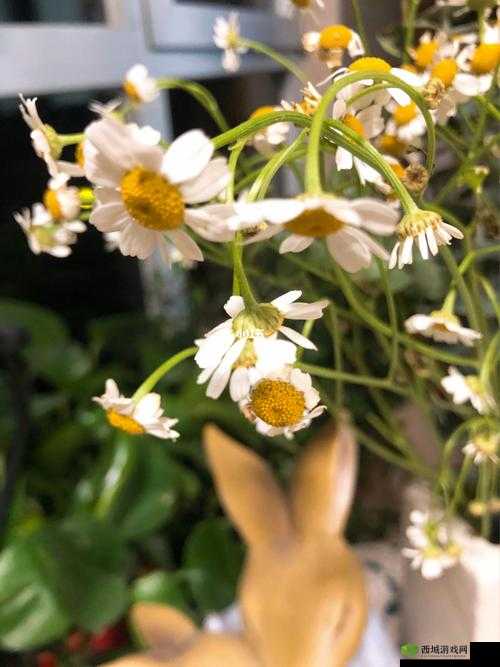 婉儿的秘密花园：一座奇幻的心灵港湾