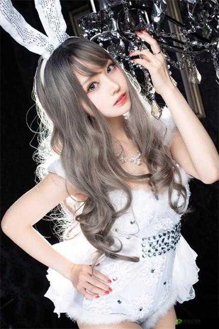 巴 Python 人马近期活动情况