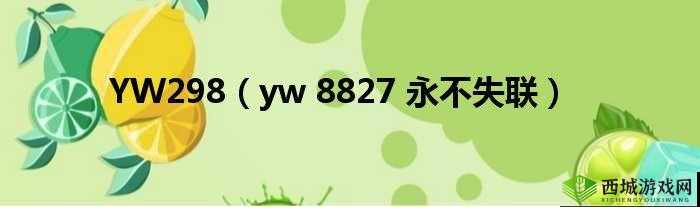 yw193跳转接口永不失联的来源：探寻其背后的秘密