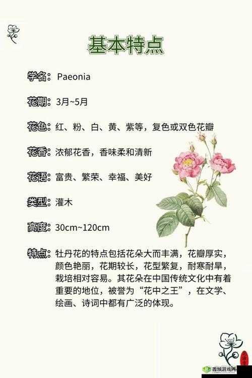 亭亭玉立国色天香四月天科普：花卉知识简介