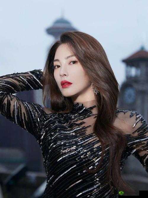 张雨绮人文艺术欣赏PPT：魅力绽放之旅