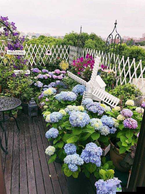 小花园部位照片：自然之美绽放