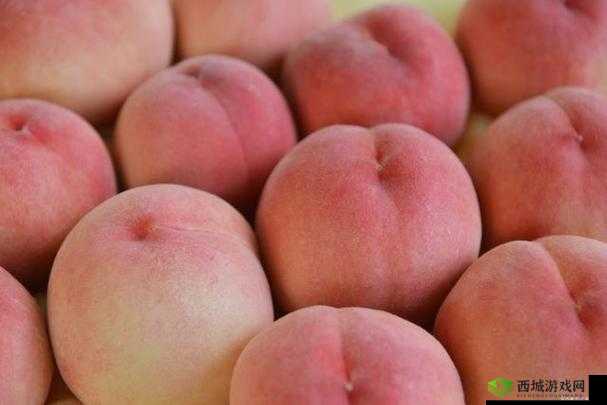 欧产日产国色天香水蜜桃：水蜜桃中的贵族