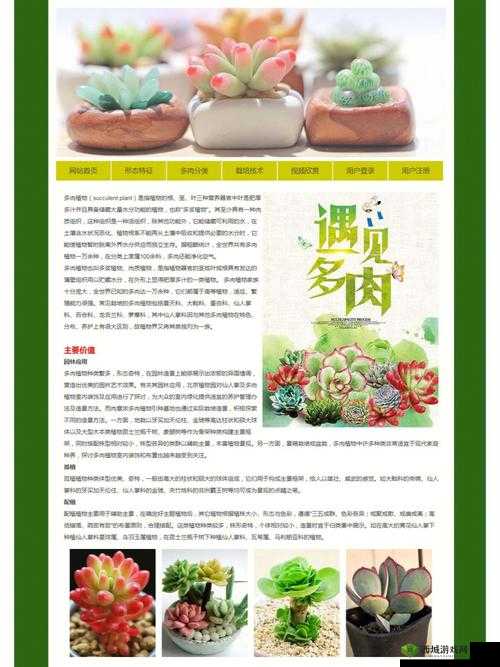 成品网站源码是 1688 吗：二者的关系探讨