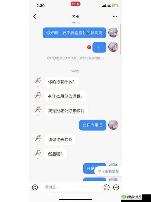 共享双胞胎齐娜齐琳:神秘的姐妹花