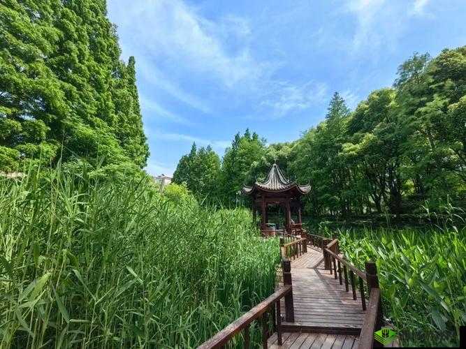 出租房里的交互康健第二部：别样体验与感悟