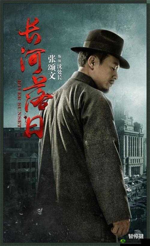 凌晨三点半看高清 502 集电视剧：独特的观剧时刻