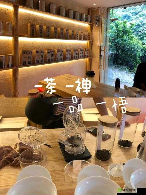 500 一晚同城约茶：尽享惬意时光