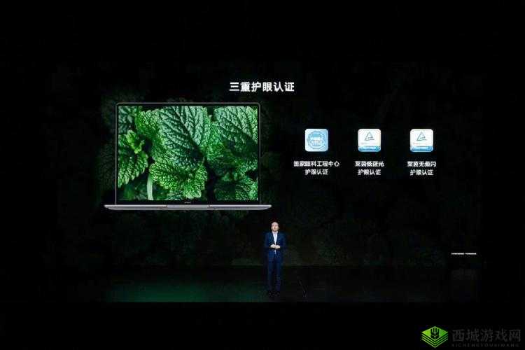 中国高清 windows 视频软件：精彩视界，尽在掌握