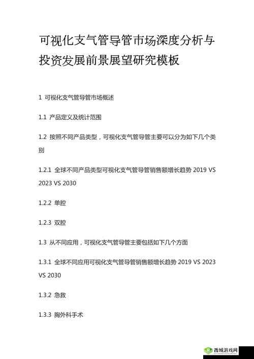 成品人精品人的投资价值：深度剖析与展望