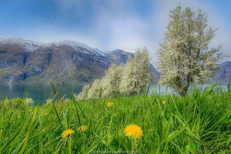 我在野外截取一段视频：奇妙的自然瞬间