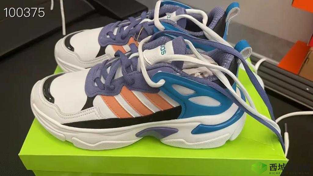 三叶草 gw5856：独特魅力展现