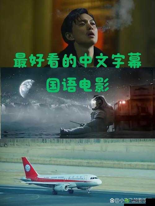 最好看的 2019 国语字幕电影：口碑爆棚