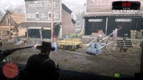 53 岁老阿姨荒野大镖客评测:深度解析