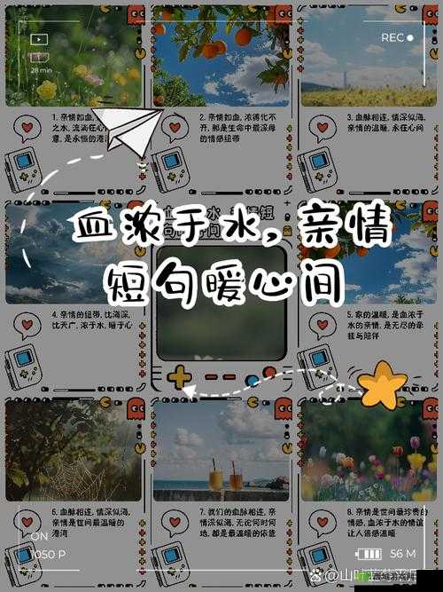 朋友的家长中韩双字:温暖的亲情纽带