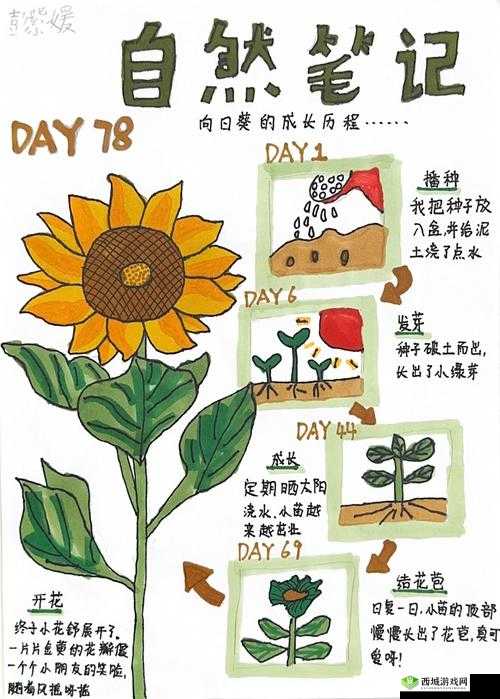 需要爸爸播种笔趣阁：相关内容介绍