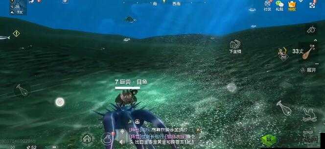 妄想山海千年黑枪鱼攻略：掌握技巧，轻松捕捉珍稀鱼种