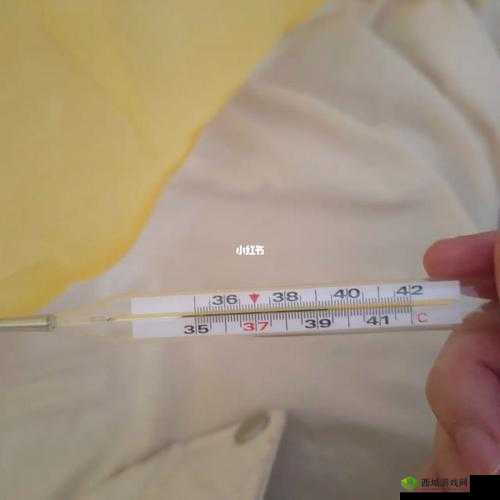 温度计 PLAY 检查：测量身体的温度与情感的交融