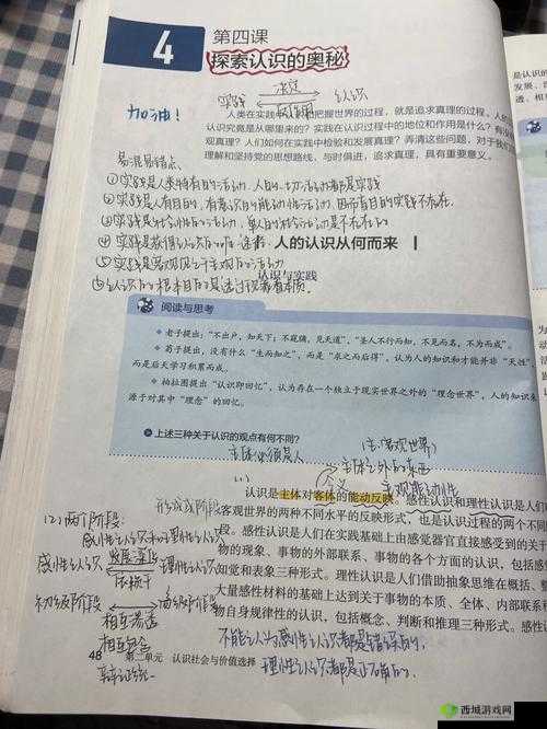 疯狂拨动我的小句号：探索其奥秘